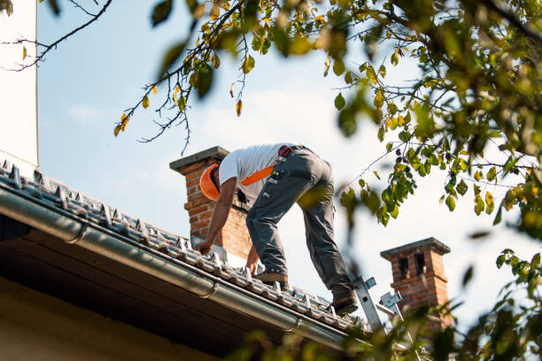 Sheet Metal Roofing in Exmore, VA