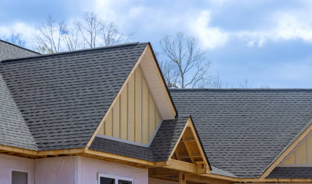 Best Asphalt Shingle Roofing  in Exmore, VA